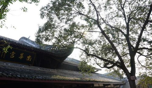 成都周邊隱藏一個(gè)4a級(jí)古鎮(zhèn),門(mén)票0元,在山水之間,正越來(lái)越火