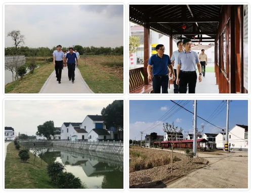 白墻黑瓦 水清路明,江陰的農(nóng)村正越來(lái)越美