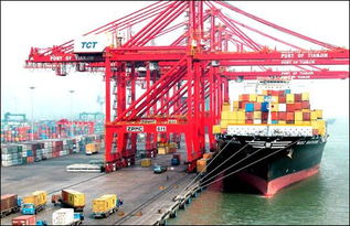 上海進口預(yù)包裝食品要求 價格 68865521元 票