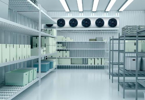 上海專(zhuān)業(yè)的食品冷庫(kù)定做廠家如何選？享寧等五家優(yōu)質(zhì)企業(yè)值得參考